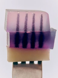 A layered translucent pink and purple gelatin dessert with vertical dark patterns, served on a metal fork against a white backdrop.