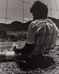 Monochrome view through a wire fence of a man seated outdoors wearing a white patterned athletic running shirt facing distant mountains.