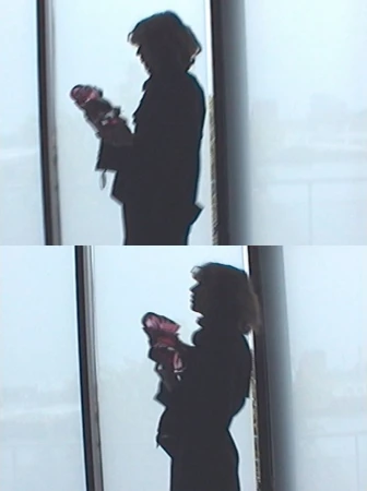 Backlit silhouette of a woman standing in profile beside a large window holding an object in a stacked dual-frame diptych.