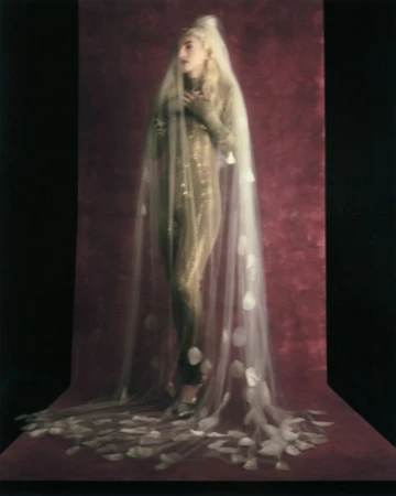 Model Riley Woodell standing in a shimmering gold jumpsuit beneath a floor-length sheer veil on a deep burgundy textured backdrop.