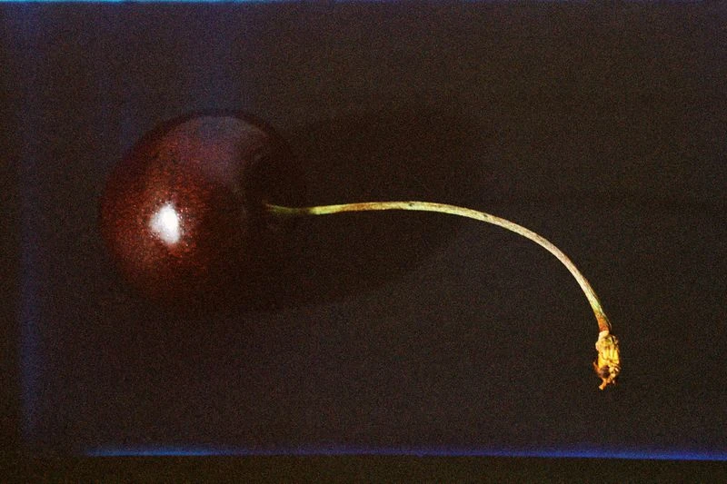 Frugal for Numéro Art