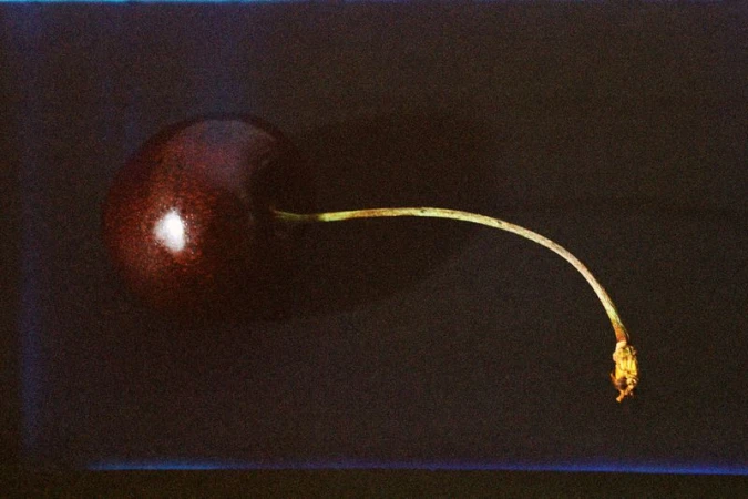 A single dark red cherry with a long curved stem rests against a dark background in close-up.