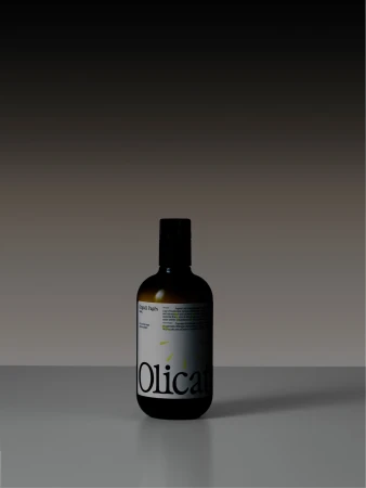 Brand Identity
