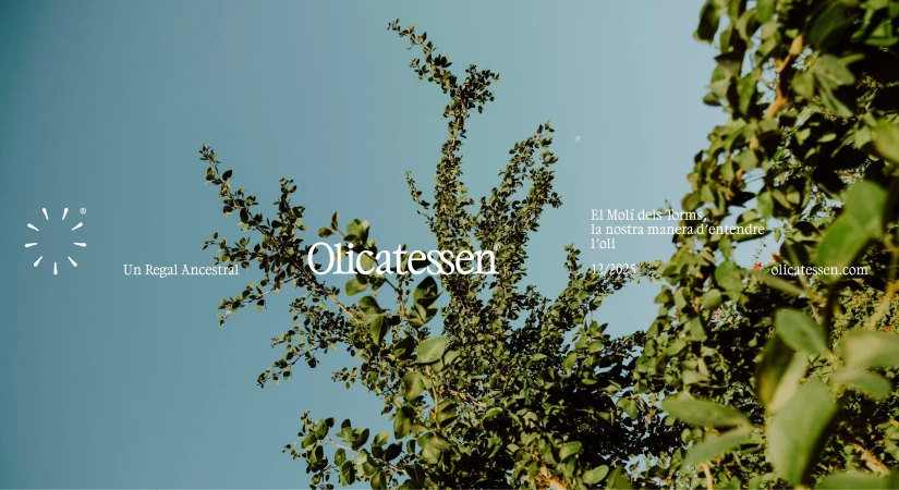Brand Identity