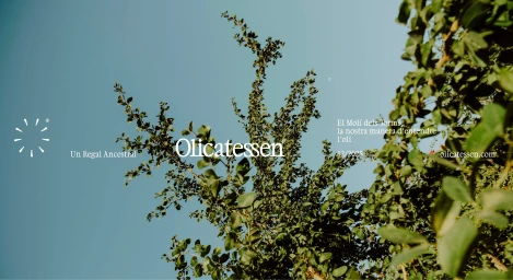 Green olive tree branches against a clear blue sky with white Olicatessen branding typography overlay.