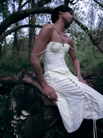 The Black Swan Undressed