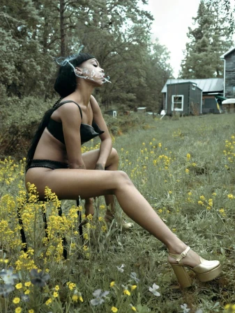 The Black Swan Undressed