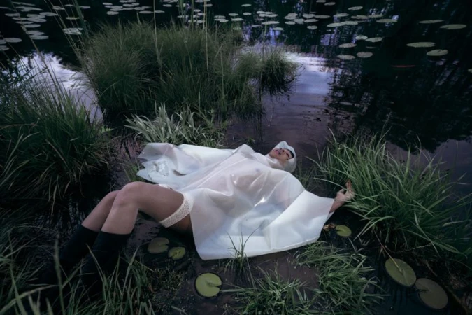 The Black Swan Undressed