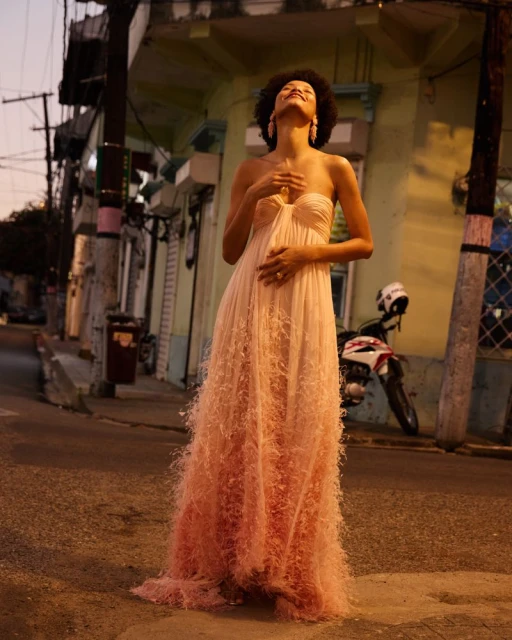 Pre-Fall 2026 Collection