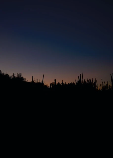 Yo me quedo aquí