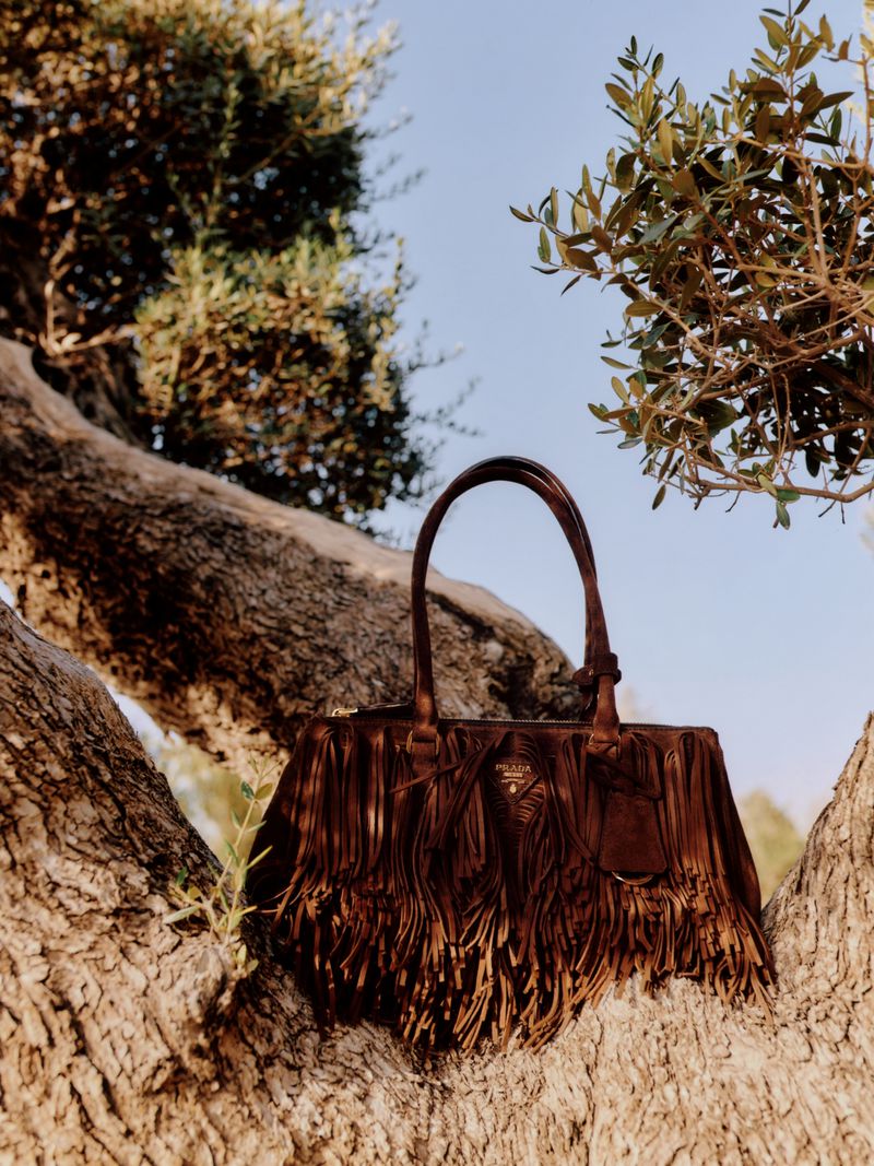 Brown suede Prada handbag with fringe detail sitting in the branches of a tree, photographed outdoors under bright, natural lighting.