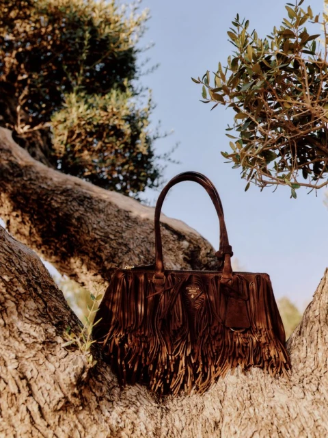 Brown suede Prada handbag with fringe detail sitting in the branches of a tree, photographed outdoors under bright, natural lighting.