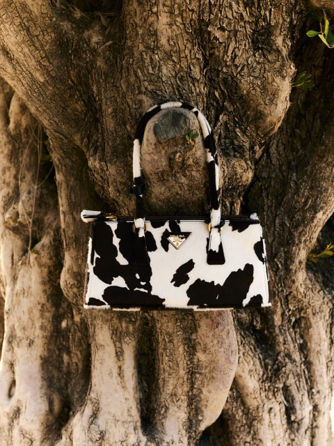 Cow-print Prada handbag with a short handle is presented on a weathered tree trunk in an outdoor setting, showcasing fashion and nature.