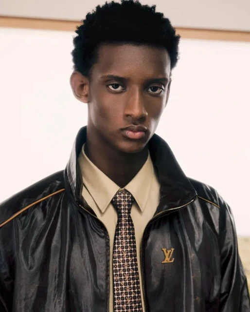 Louis Vuitton Fall 2027 Capsule Coll ...
