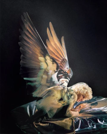 Model with large feathered bird wings resting on a crinkled reflective silver surface against a dark background.