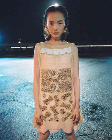 Model standing outdoors at night wearing a sheer embellished dress with a scalloped collar against an asphalt ground.