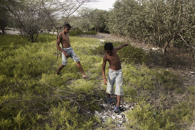Two shirtless Black boys wearing denim shorts walk through a brush-filled field bordered by trees.