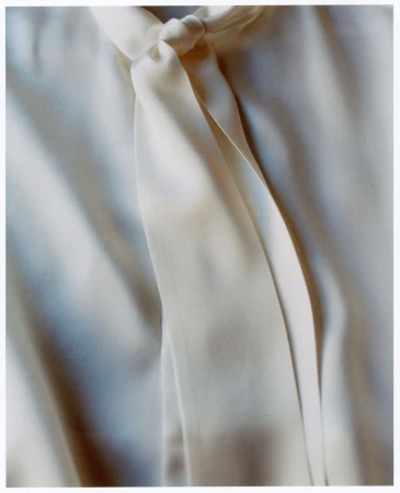 Close-up of a cream-colored, draped silk blouse with a tied neckline. Soft, diffused light highlights the fabric's textures and folds.