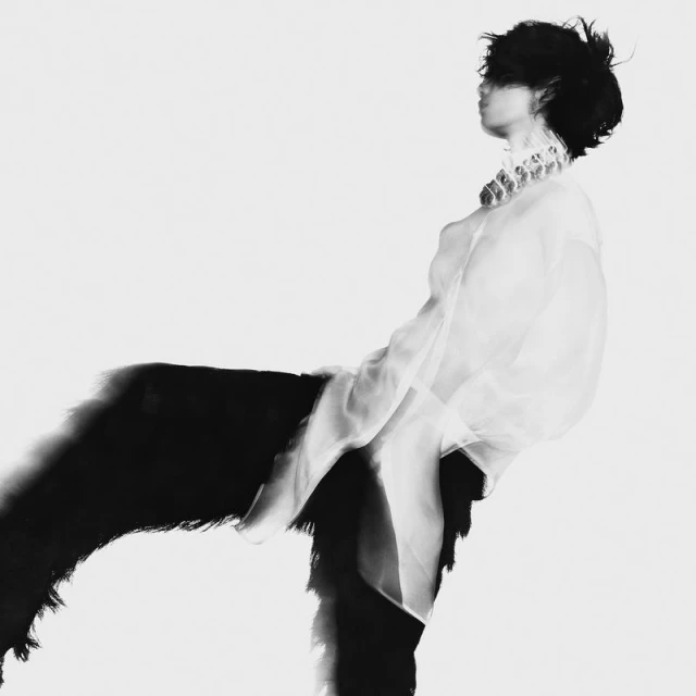 STILL DANCING