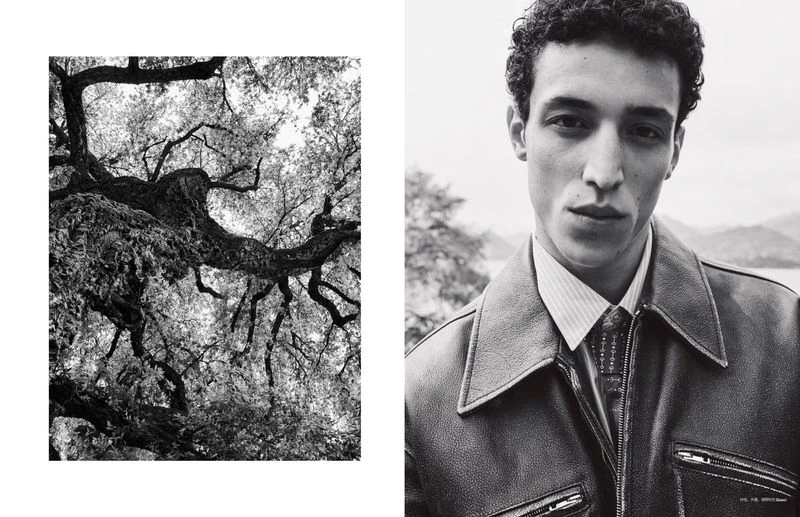 Strayed Into Emerald Wilds