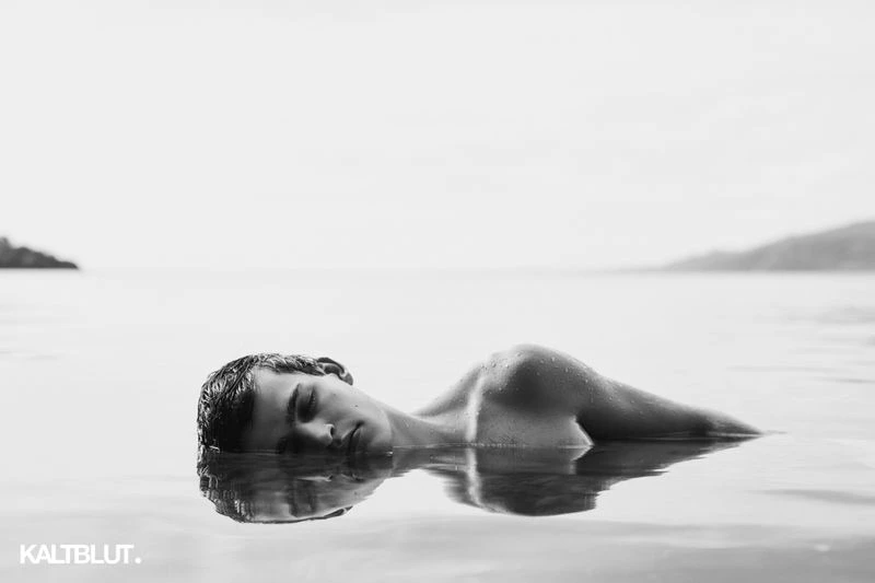 THE LAST SHORE
