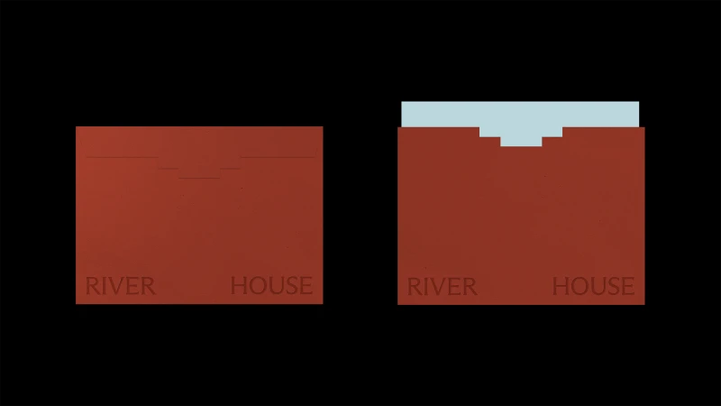 Brand Identity