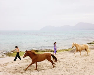 Two horses run across a sandy beach while a shirtless man in black trousers and a woman in a purple dress walk near the turquoise water.