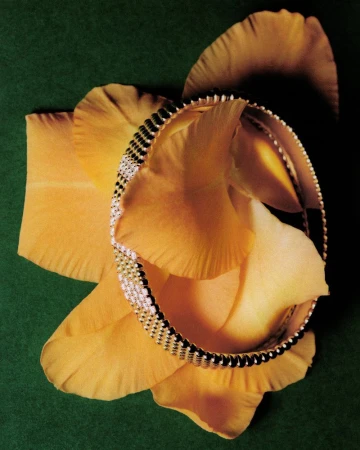 A flower is a flower is a flower