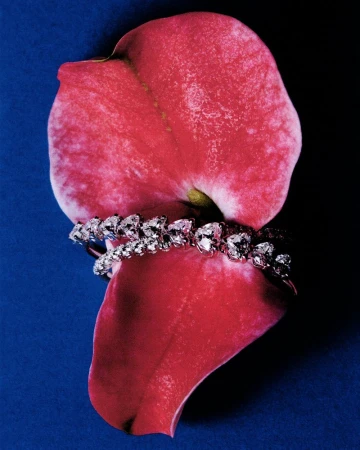 A flower is a flower is a flower