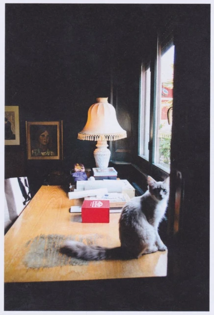 The Art of Living Well: Daniele Dami ...