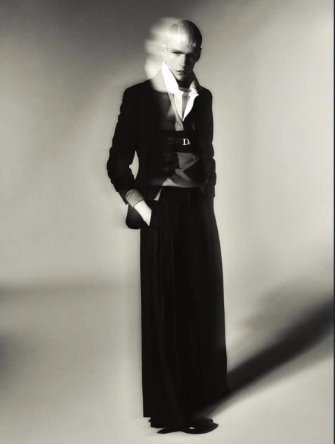 silk, vinyl and velvet in motion