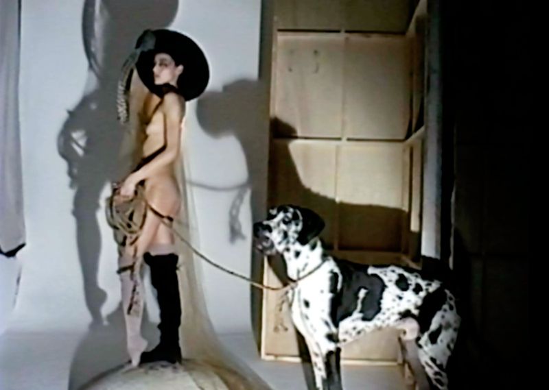 A slender person in minimal dress and dramatic hat poses with a Dalmatian Great Dane in a studio with theatrical lighting.
