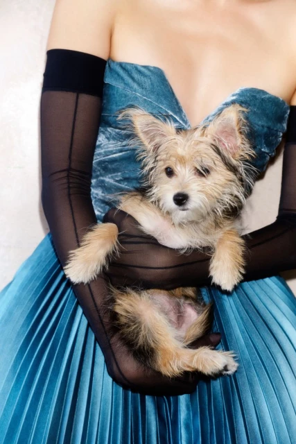 Paris Couture