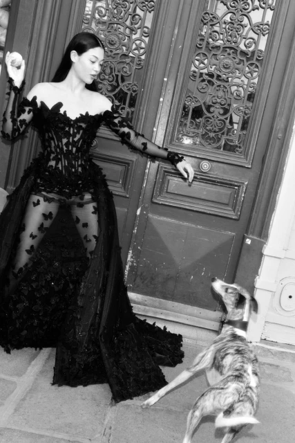 Paris Couture