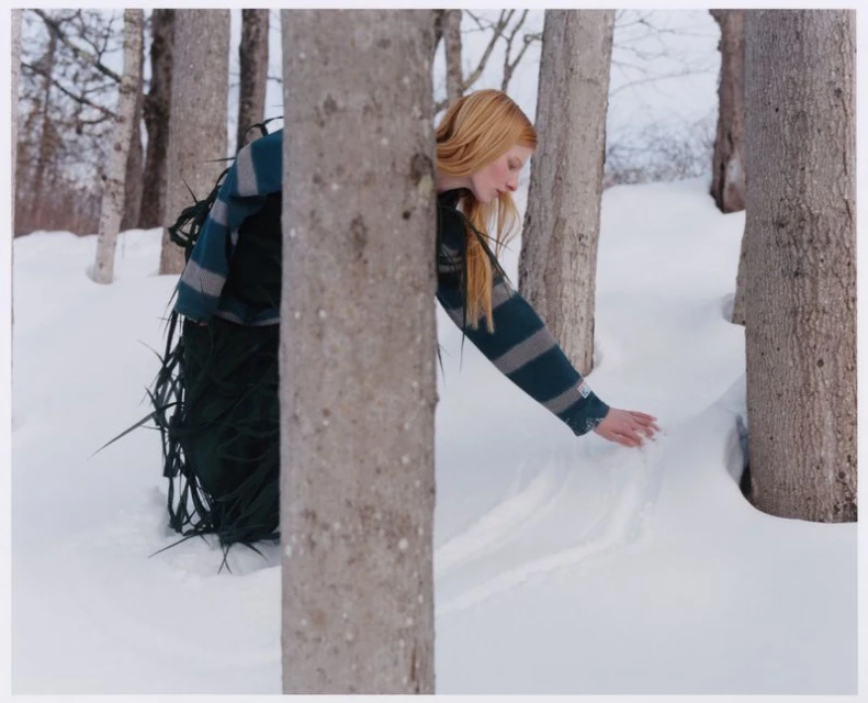 Snow Drift