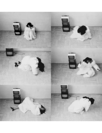 Yasmine Hamdan