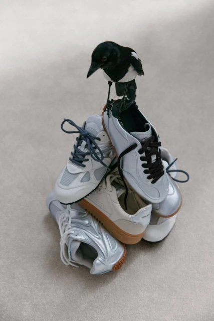 Daze & Silver Social Campaign