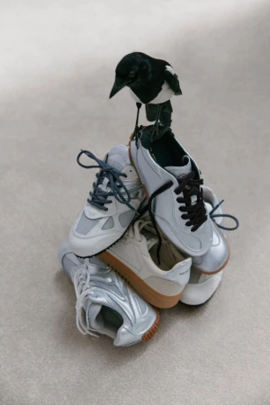 Daze & Silver Social Campaign
