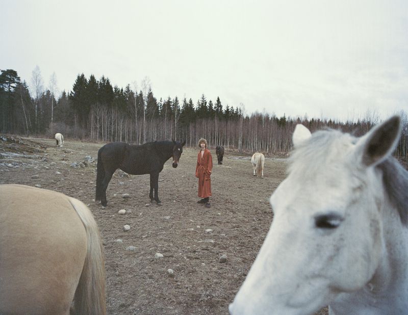 Wide outdoor shot of a woman in red robe standing in a field with several horses on a cloudy day near a tree line in the distance.