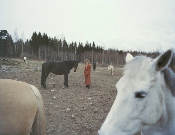 Wide outdoor shot of a woman in red robe standing in a field with several horses on a cloudy day near a tree line in the distance.