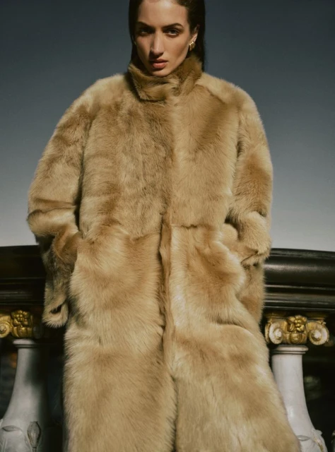Fall Winter 26
