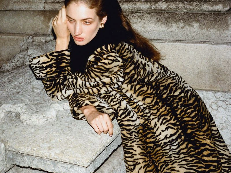 Fall Winter 26