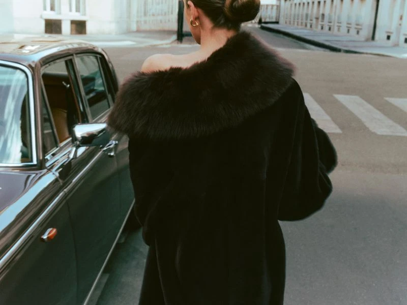 Fall Winter 26