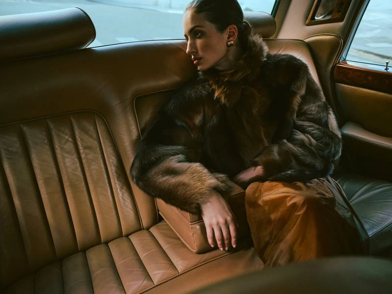 Fall Winter 26