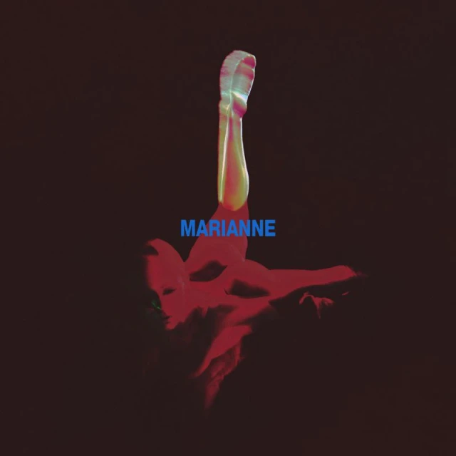 FONTAINES D.C. LP COVER