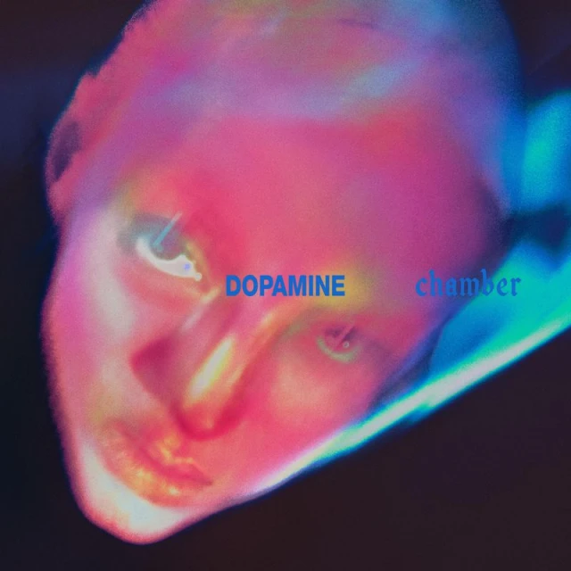 FONTAINES D.C. LP COVER