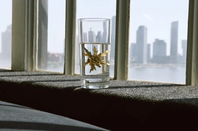Gold spiky floral brooch submerged in a glass of water resting on a window ledge against a blurred city skyline.