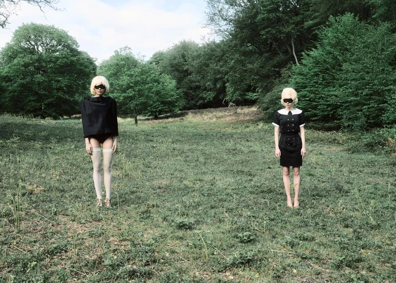 Beyond The Forest