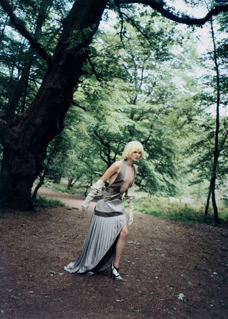 Beyond The Forest