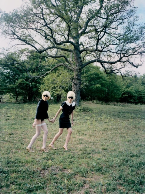 Beyond The Forest